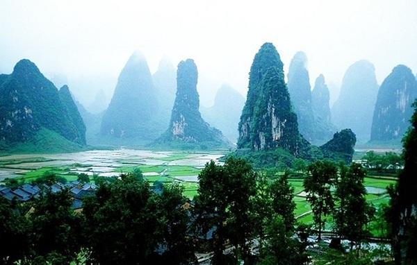 缤纷水果茶无敌版
